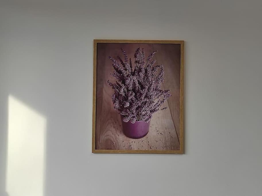***Santorini Apartament*** - 40M² ✓ รืบนิค ภายนอก รูปภาพ