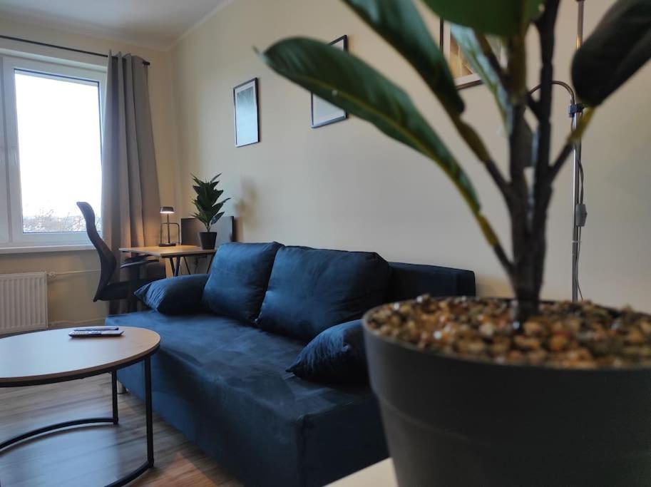 ***Santorini Apartament*** - 40M² ✓ รืบนิค ภายนอก รูปภาพ