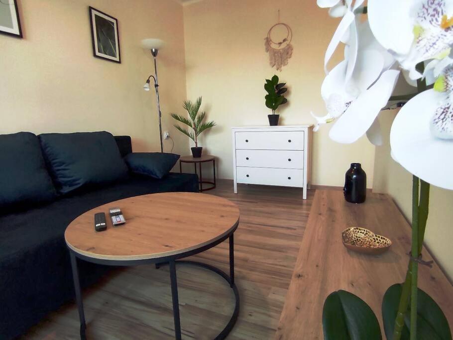 ***Santorini Apartament*** - 40M² ✓ รืบนิค ภายนอก รูปภาพ